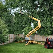 Best Firewood Processing and Delivery  in Long Branch, VA