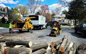 Best Utility Line Clearance  in Long Branch, VA