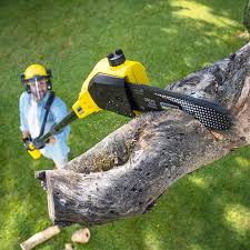 Best Lawn Irrigation Installation and Maintenance  in Long Branch, VA