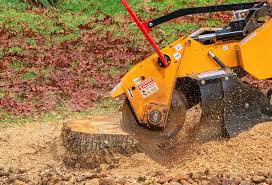 Best Lawn Watering Services  in Long Branch, VA