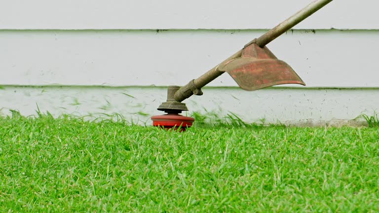 Best Utility Line Clearance  in Long Branch, VA