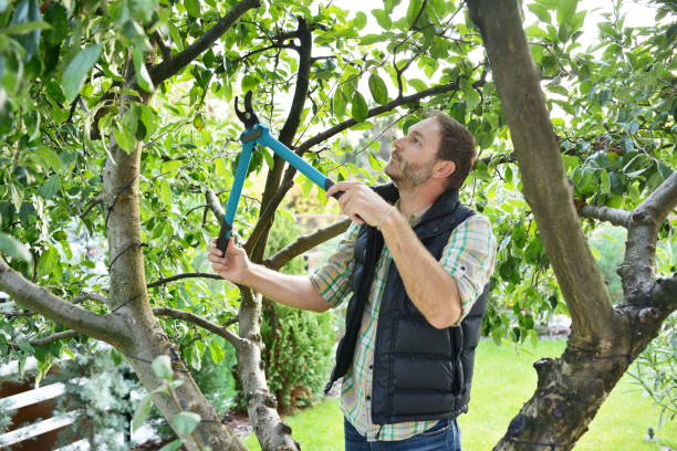 Best Arborist Consultation Services  in Long Branch, VA